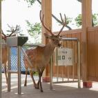 5c8b242d230000d5042437ec