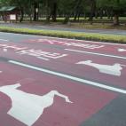 5c8b242d2400006c05a43277