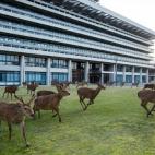 5c8b242e2400006d054cf606