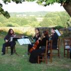 5c8aa16d24000093024c20d1