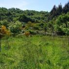 5c8aa16d230000dd04236148