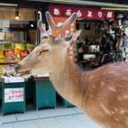 5c8b242f2400004205a43283