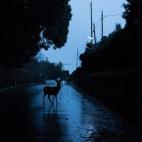 5c8b242f2500001304ca2709