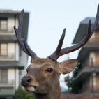 5c8b2430240000f7054cf612