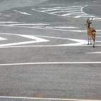 5c8b24303b000072066d1412