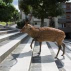 5c8b24303b000070066d1415