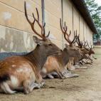 5c8b2430360000c81a6c92fc