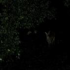 5c8b2431230000d5042437ff