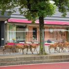 5c8b24322300002f00e7ae5e