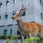 5c8b24322400006c05a4328e