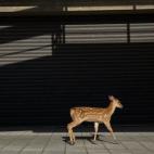 5c8b24322300002f00e7ae62