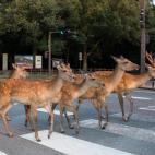 5c8b24333b000054066d1423