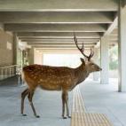 Como si estuviera esperando para una cita.