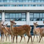 5c8b24342500000704ca271f