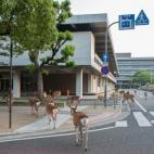 5c8b2434230000d50424380f