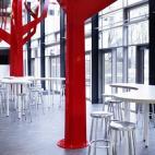 Un área de recreo y estudio como un bosque con árboles de seis metros.