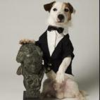 Cook, más conocido como Pancho, ha muerto a los 16 años de edad debido a problemas del corazón. Famoso por ser el protagonista del anuncio de La Primitiva, llegó a tener su propia película en 2014 llamada Pancho, el perro millonario.