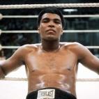 El boxeador Mohamed Ali falleció el 3 de junio de 2016 en Phoenix (Arizona) a los 74 años. El que fue la mayor leyenda del boxeo llevaba más de tres décadas luchando contra el Parkinson. ADEMAS - Cinco anécdotas que quizá no sabías de ...