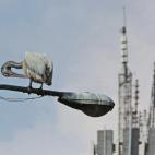 5c8a9db920000045046f6369