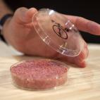 5c8a61b0240000f404a30301