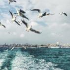 Olga Nazarova, Rusia - Sony World Photography Awards