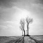 Ryszard Kazmierczak, Polonia - Sony World Photography Awards