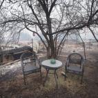 5c8abb193b000054066c7770