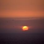 5c8b69182300005300e8208c