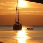 5c8b6918360000ba1a6d03f0