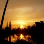 5c8b691a2000009d0370b168