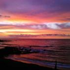 5c8b691c2500001304ca996b