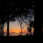 5c8b691e3b000054066d8546