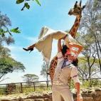 Centro de Jirafas - Nairobi, Kenia