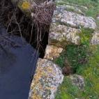 5c8aa0e13b000054066c3e16