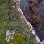 5c8aa0e42500005806816a81