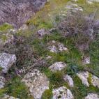 5c8aa0e42500001304c9502a