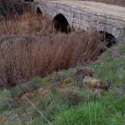 5c8aa0e42400006f054c1f69