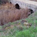 5c8aa0e520000043046f6bcf