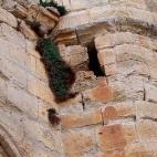 5c8aa0e52500000a06816a8b