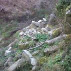 5c8aa0e92400006d054c1f77