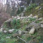 5c8aa0e9250000bd05816a9d