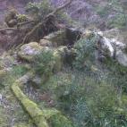 5c8aa0ea2500005206816aa1