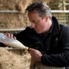 5c8aa4973b000054066c486f