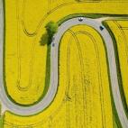 Una foto aérea del 12 de mayo sobre los campos de semillas de colza cerca de Nienstedt, en la zona central de Alemania.