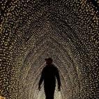 Un hombre camina por la 'Catedral de la Luz' en los Jardines Botánicos Reales el 25 de mayo en Sídney (Australia).