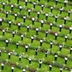 Numerosos jóvenes dejan coronas durante una misa para marcar el centenario del comienzo de la batalla del Somme en Thiepval (Francia) el 1 de julio.