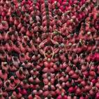 Los castellers de la Colla Vella de Valls construyen una torre humana o castell durante el 26º Concurs de Castells en Tarragona el 2 de octubre.