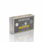 De Arroyabe, en Bermeo (Vizcaya)