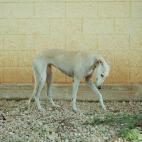 5c8a4a4e3b000072066bcac4