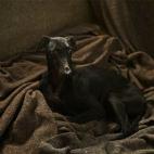 5c8a4a4f2400006d054bab14